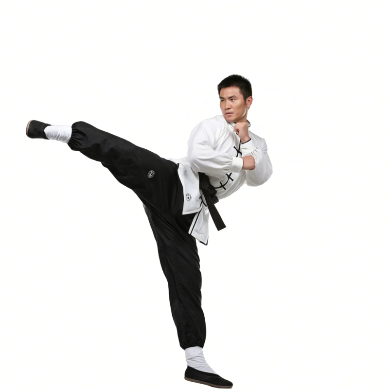 Did Martial Arts Sects Exist 3