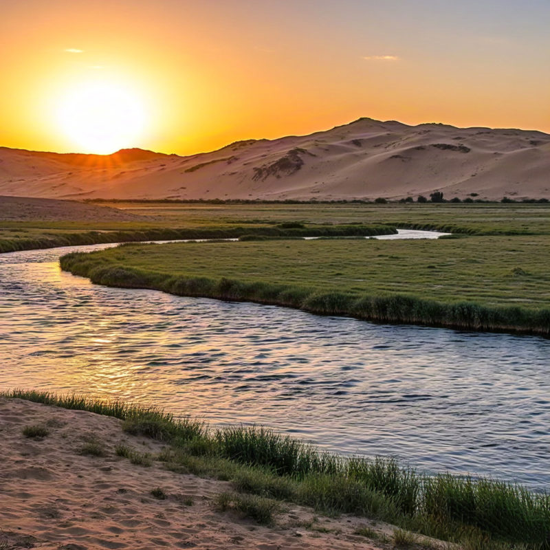 Introduction to Tarim River of Xinjiang