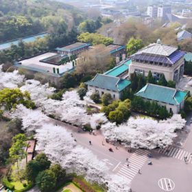 Introduction to Wuhan University 2025